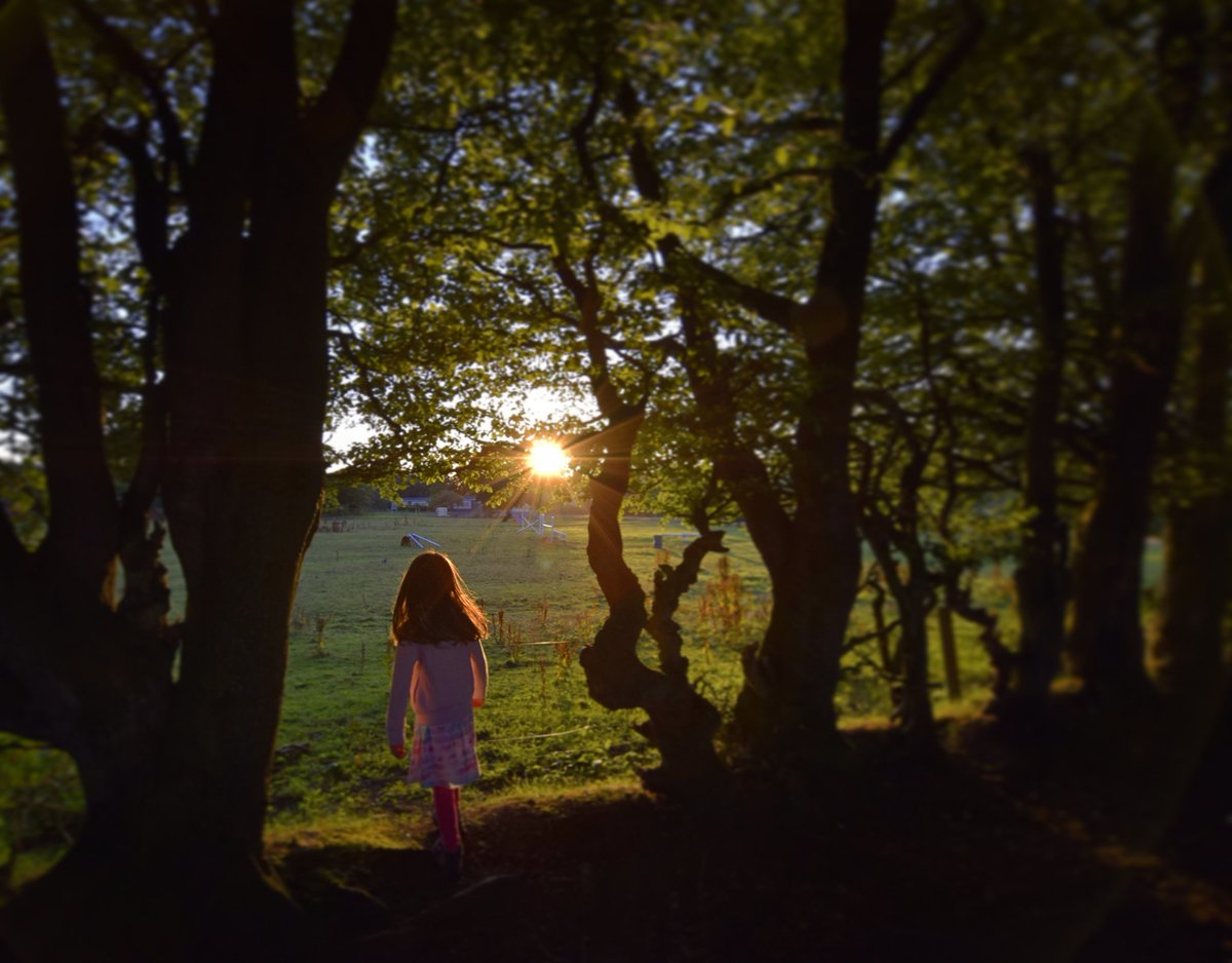 Late evening wander with junior, looking for the horses at the top of the Stey Brae in Lanark @VisitScotland @VsitLanarkshire @ScotsMagazine @LanarkLife #lanark #Scotland #scotspirit #sunset #summer #shadows