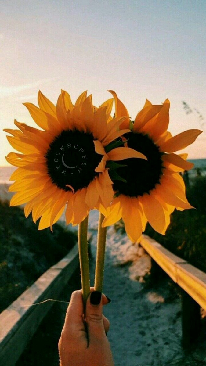 xiocks's tweet image. flowers 💐
rt se salvar 💕
fav se gostar ❤
/kelly