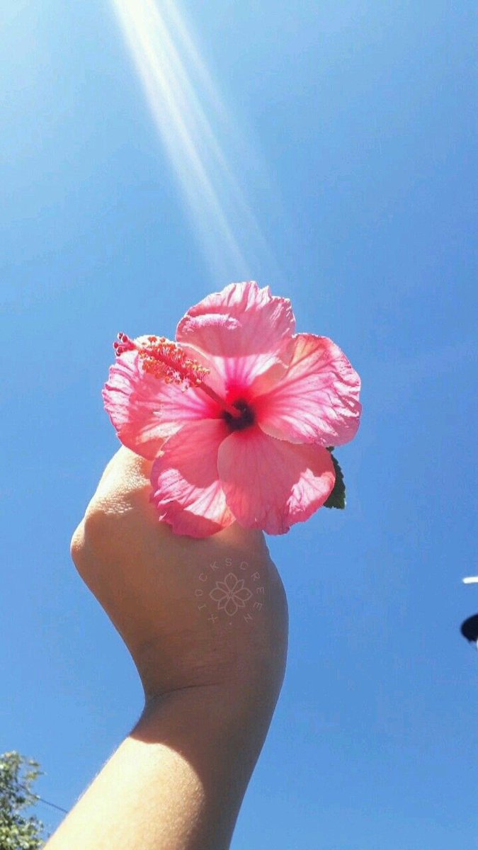 xiocks's tweet image. flowers 💐
rt se salvar 💕
fav se gostar ❤
/kelly