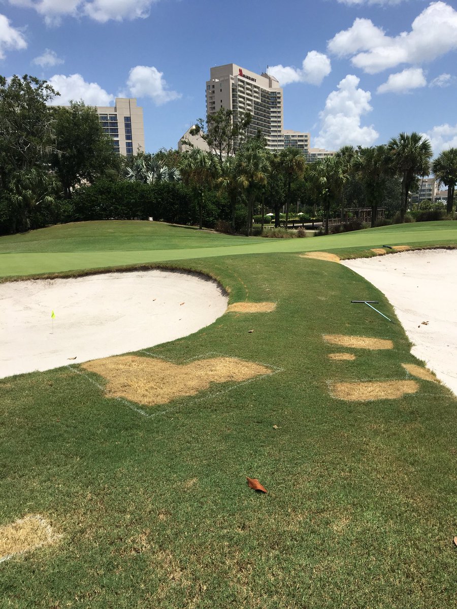 Joshua Kelley tweet media