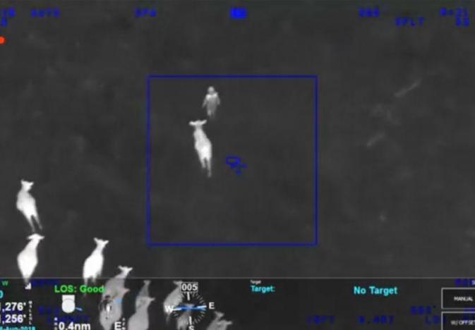 DroversCTN's tweet photo. You've got to watch these #Cattle Corral A Criminal in Florida During #Police Chase --A new spin on a #roundup
https://t.co/ax1fcdHxJ3 https://t.co/d2MAHnqFlH