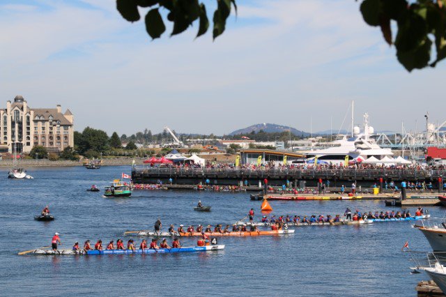 gvicharbour's tweet photo. The 24th @VictoriaDragon Boat Festival kicks off tomorrow! Be sure to make your way down to our #ShipPointPier this weekend to see all the action🚣‍♀️🚣‍♂️!
Event details: https://t.co/LXgD6M4m4N 
#ourharbour #DragonBoatFestival #victoriaBC #vicharbour https://t.co/TVitgRLDDf