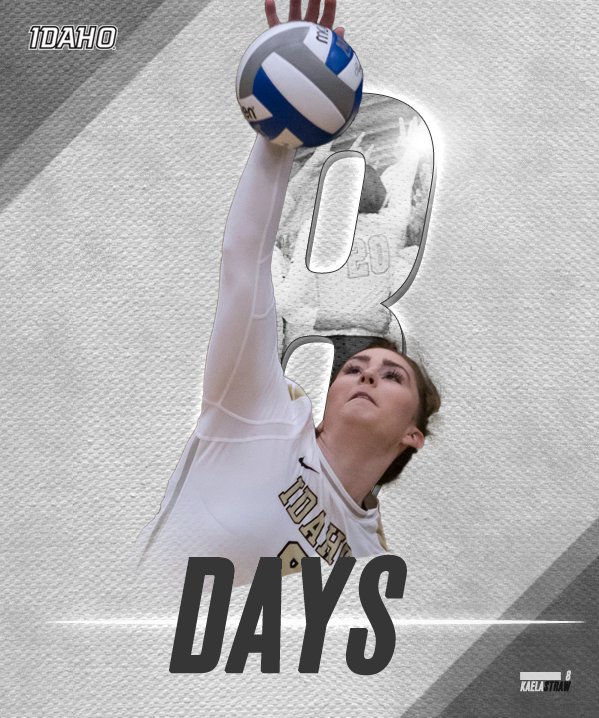 IdahoVolleyball's tweet photo. The excitement is building!
#PointVandals https://t.co/oz6blmheTw