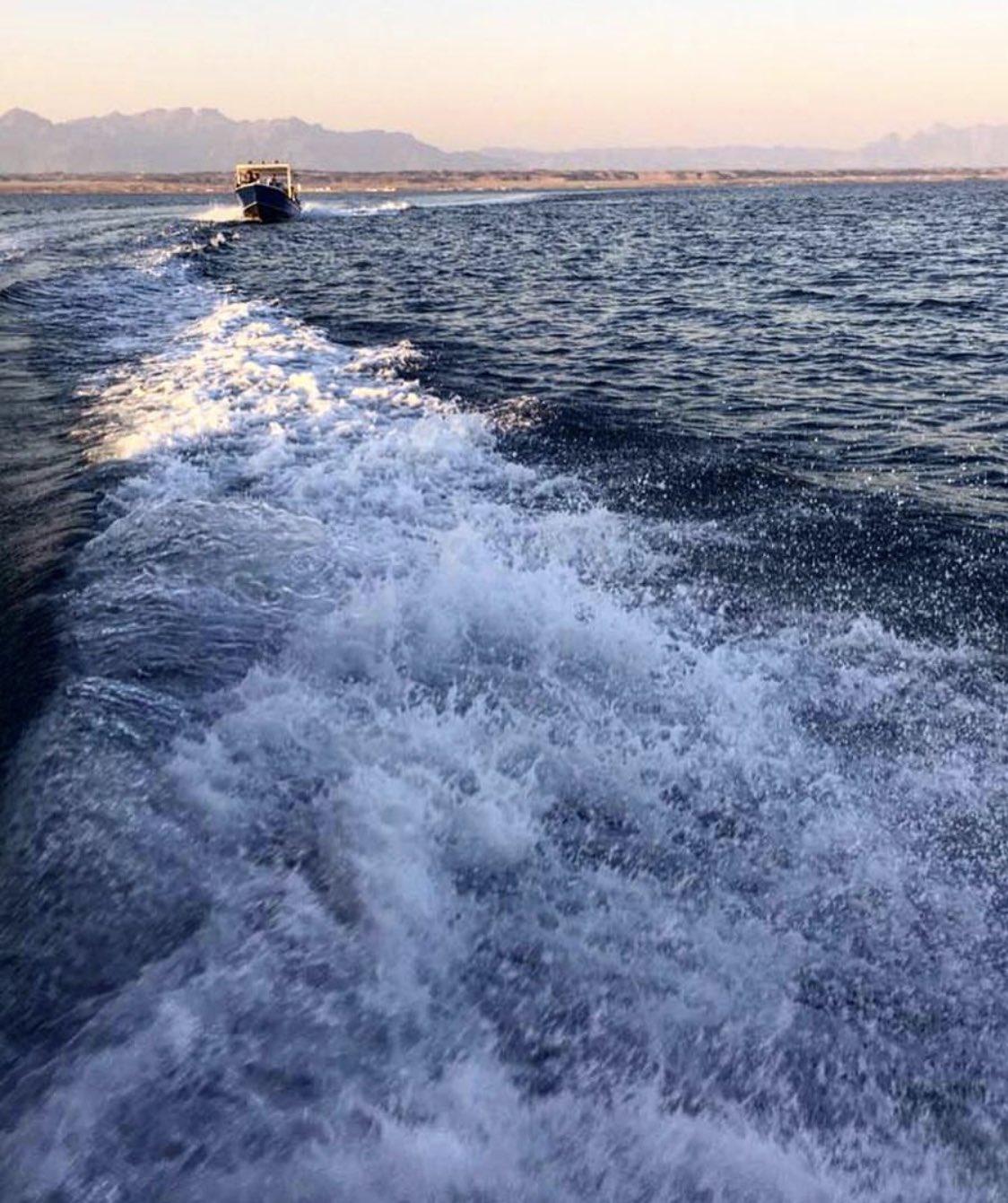 Get مشروع نيوم شاطئ شرما Gif