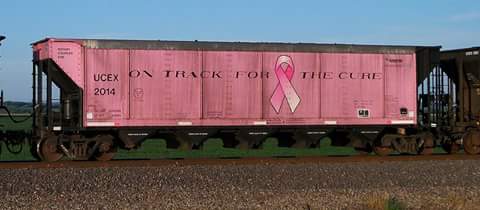 mtskidmark's tweet photo. #PinkRibbons #ontrackforthecure #ameren #ucex #BNSF seen on the K-Line near #ClarksvilleMO 8/8/18 https://t.co/lOx4IgEU3h