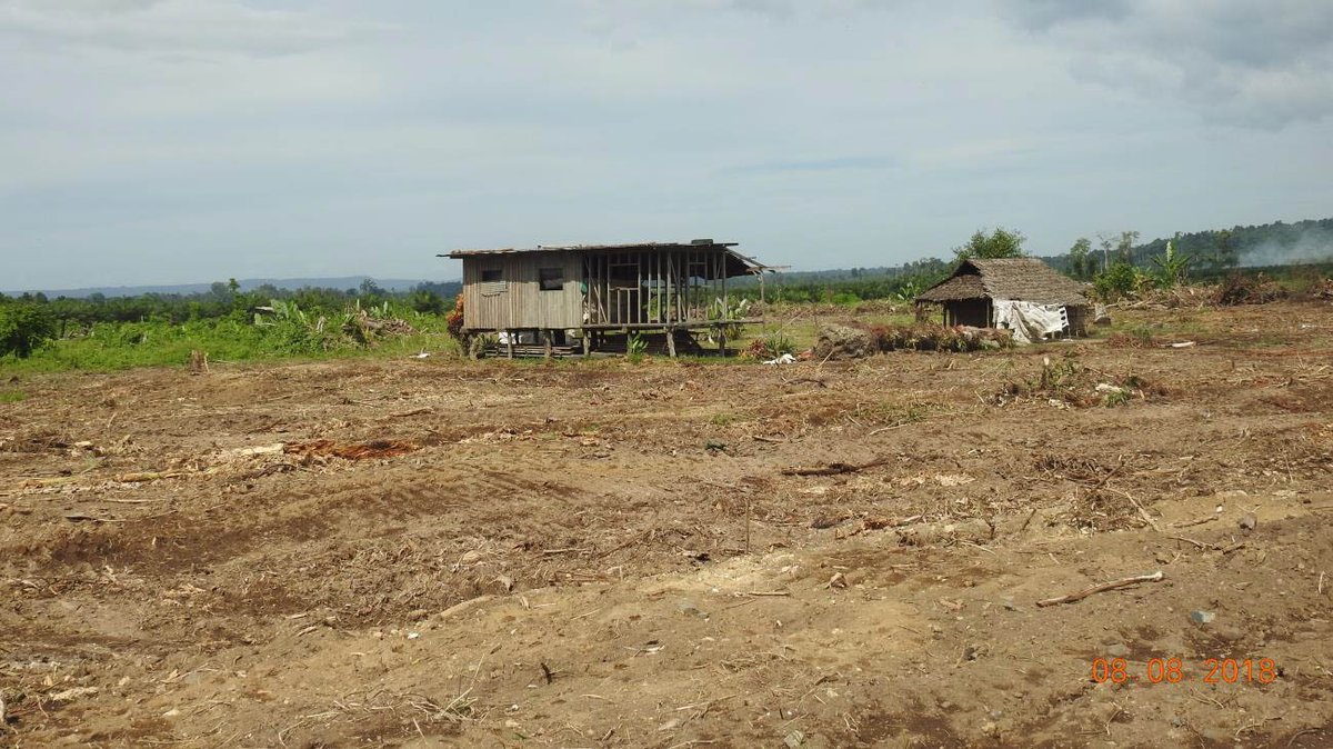 PahunM's tweet photo. Next to PNG Natural Resource Science and Environment University. Locals have mobilize and burnt tractors, machinery of the RH subsidiary oil palm of lack of prior Environment and social safeguards Practice. https://t.co/nWNkCtffwU