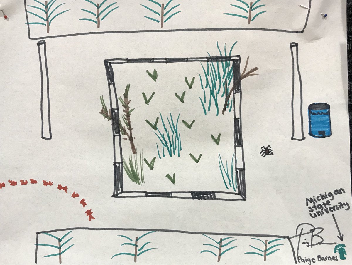 JPurren's tweet photo. @michiganstateu &amp; @uvmvermont Your REU students just did #SketchYourScience at #ESA2018 @ESA_org #ESASciComm #EngageESA https://t.co/JNpMJHB3eu