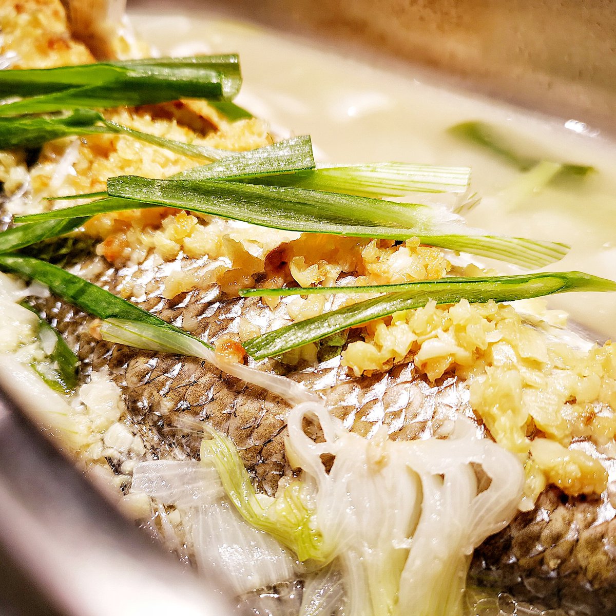 TheWrongun's tweet photo. Poached Wild Sea Bass 🐟 https://t.co/68a9SSiKVV