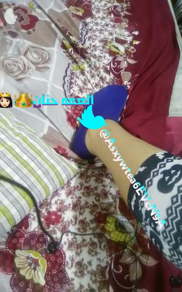 يلا كل كلب يشوف اصور رجلي يبوسه