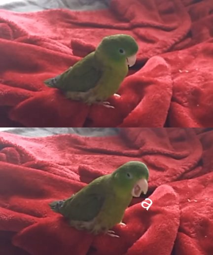 Me : *seeing Ana and Gabe stuff*