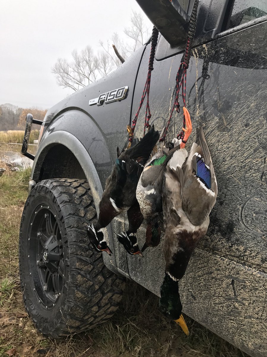 EthanFincher33's tweet photo. 92 days and counting🦆 https://t.co/Za9Tuckyuv