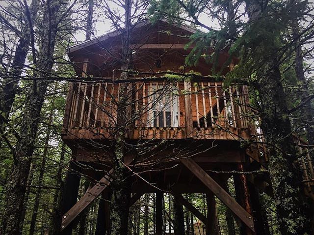 NoiseNb's tweet photo. from @msmashley — A night in the trees #miramichi #miramichitreehouses #explorenb #treehousecamping https://t.co/TQBr3Qu9NS https://t.co/9UxZ1bv4oT