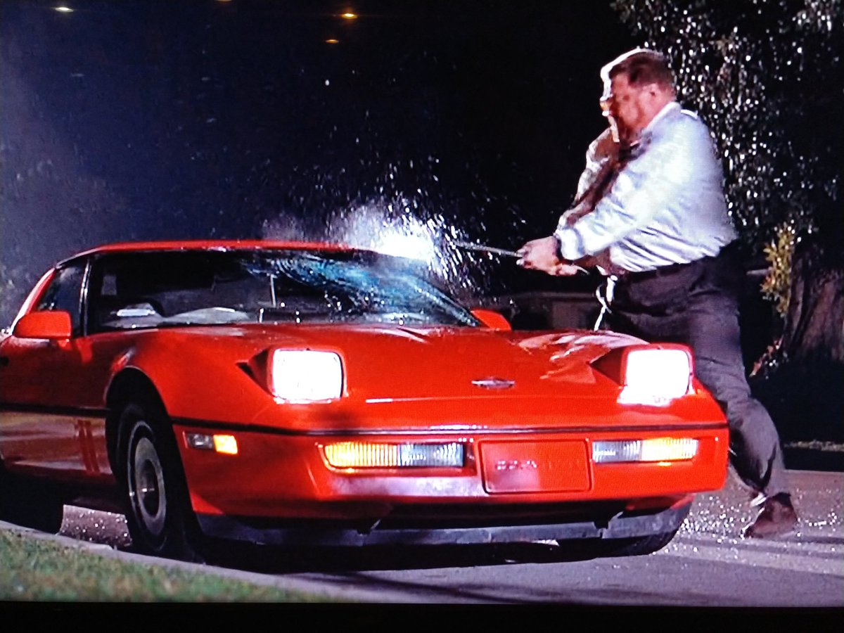 Florida man attacks Tesla Model 3 with conviction in strange incident ...