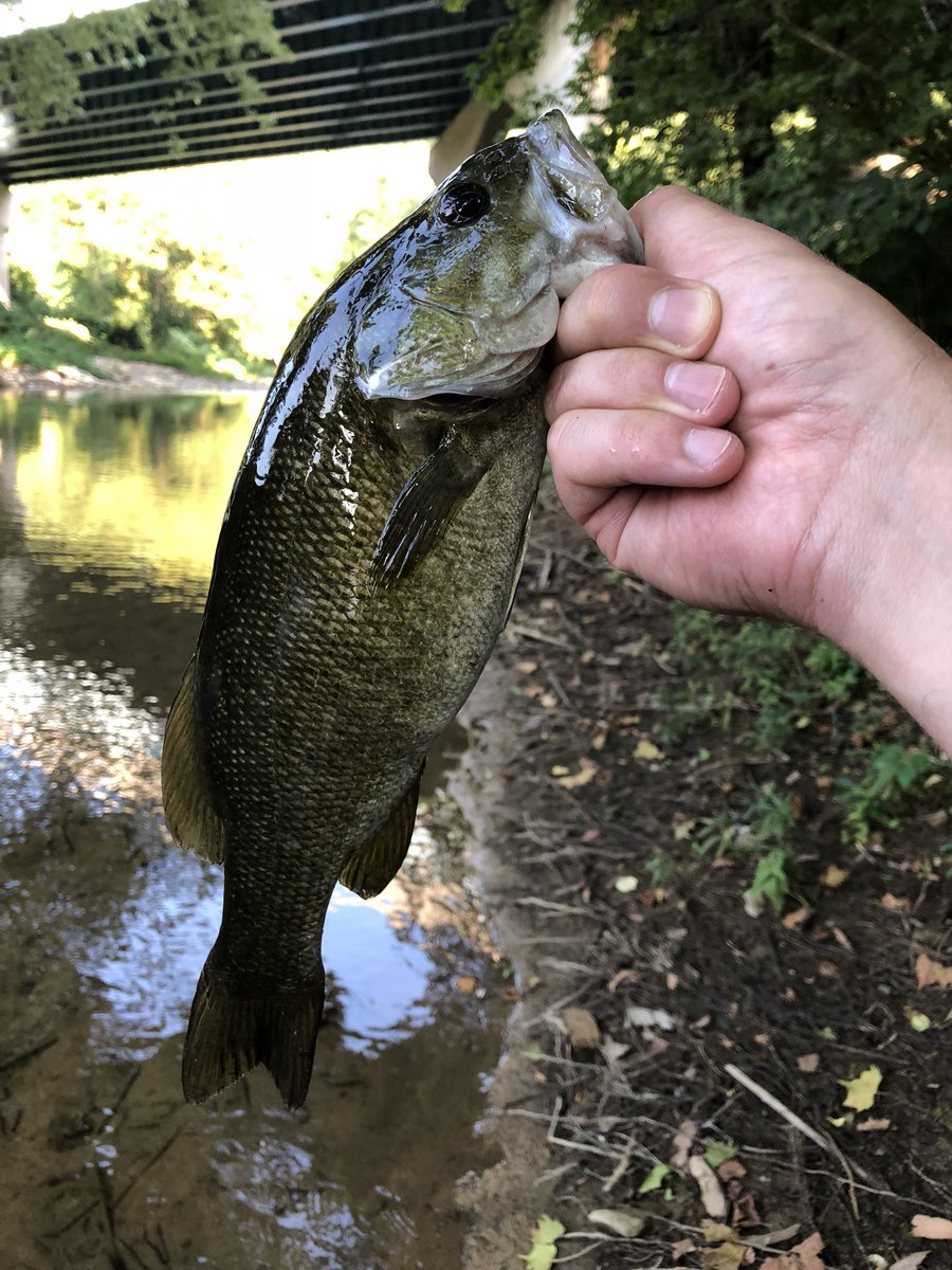 downanddirty5's tweet photo. Out here rippin some lip https://t.co/A7NLZpC8IU
