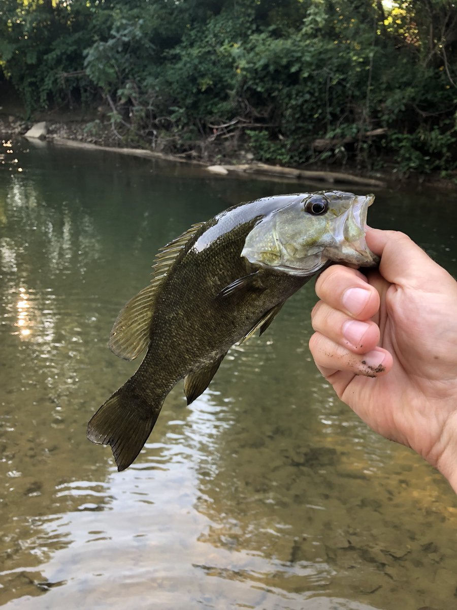 downanddirty5's tweet photo. Out here rippin some lip https://t.co/A7NLZpC8IU