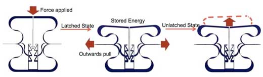 Exclusive facts about #GreenNanotechnology: greentechnologies.euroscicon.com

Scientists design material that can store energy like an eagle's grip by scientists at University of Cambridge.
#nanotechnology #nanomaterials #energyapplications #changeableshape
Join #Greenenergy &amp; #technology