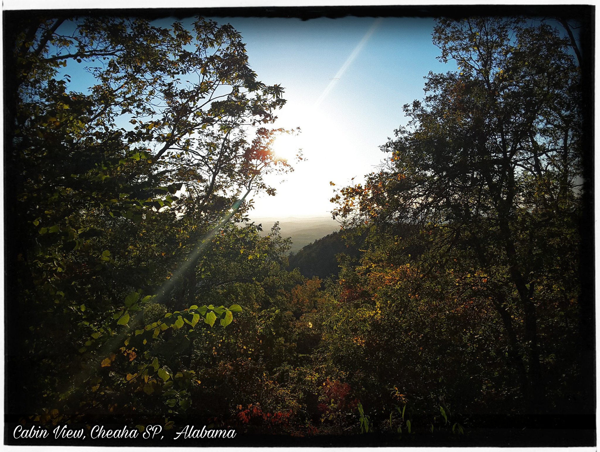 Jim Greenfield On Twitter Cheaha State Park Highest Point In
