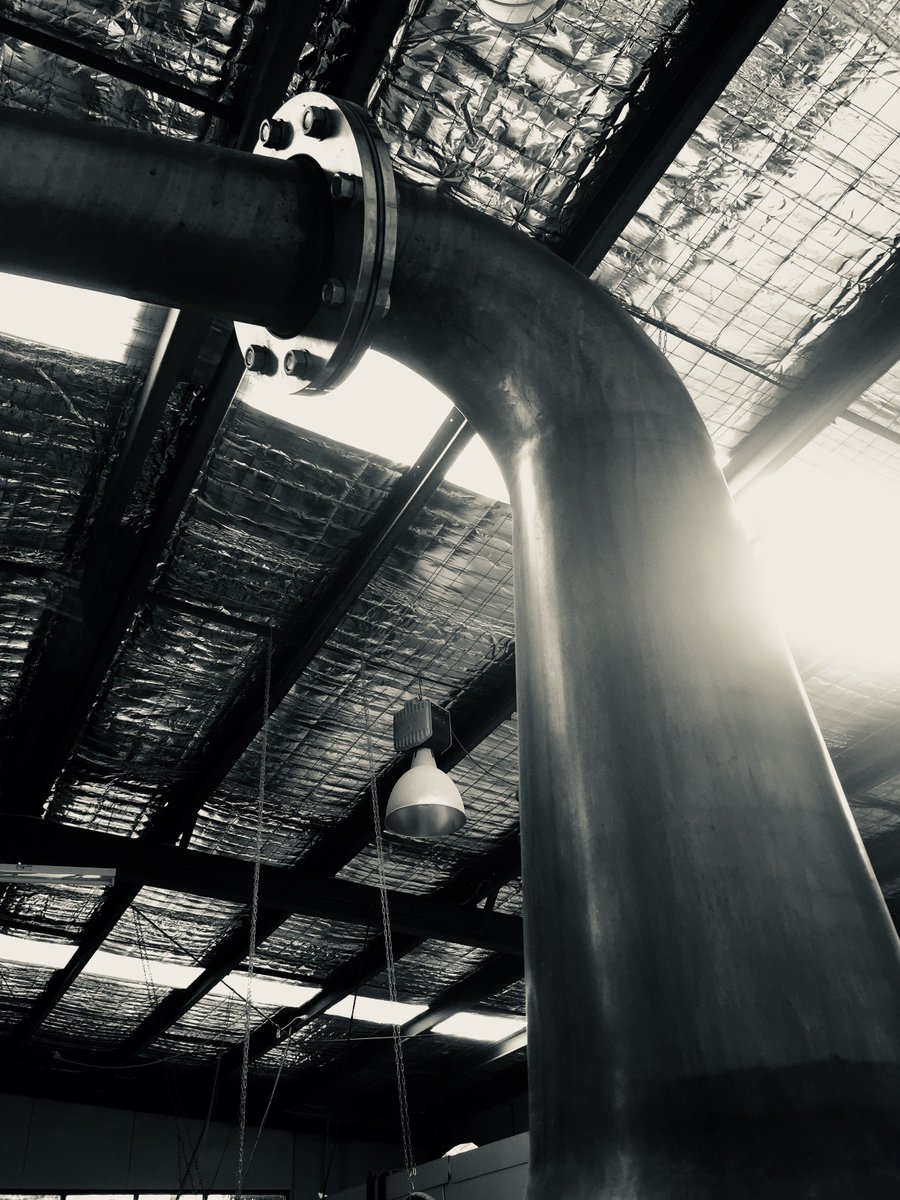 A rare angle of “Steve”. Winter at the distillery