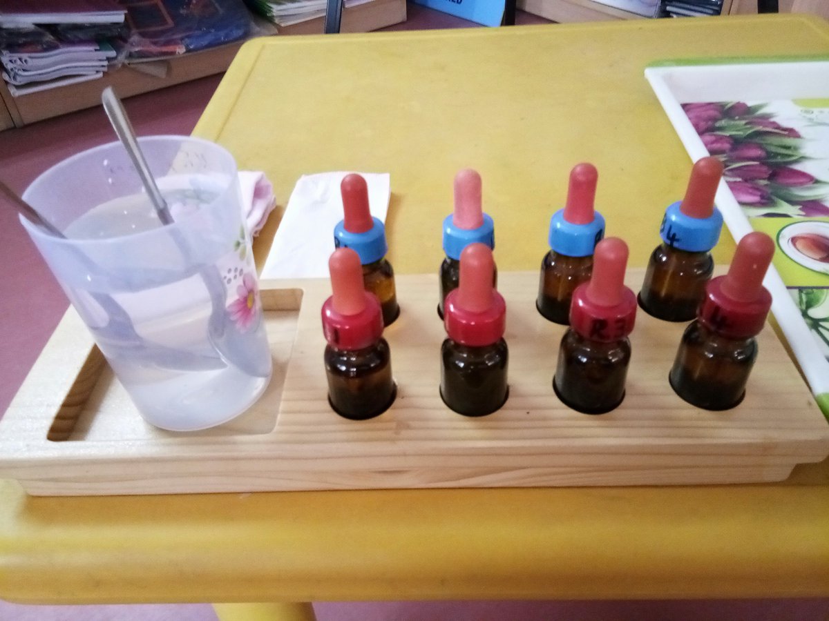 DMPSKRPuram's tweet photo. #DMPS #Discovery #Montessori #preschool American Preschool at K R Puram, #Karnataka Ol Factory and Gustatory Sense https://t.co/nYdzN6Xaoa