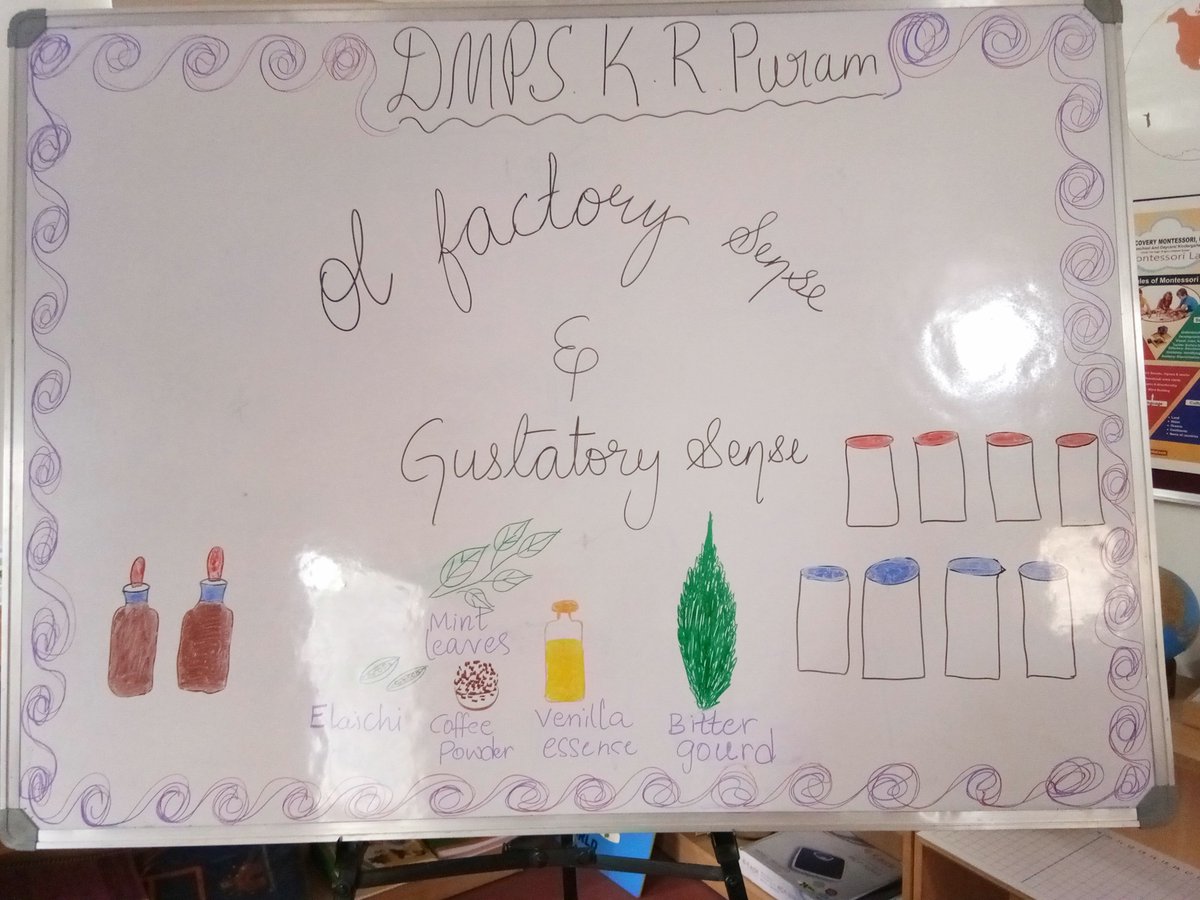 DMPSKRPuram's tweet photo. #DMPS #Discovery #Montessori #preschool American Preschool at K R Puram, #Karnataka Ol Factory and Gustatory Sense https://t.co/ByfYcaIDoI
