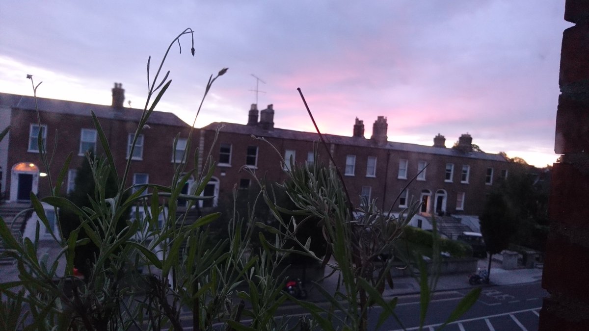 Georgous start to the day here in #Ranelagh 💙 happy Friday. #FridayFeeling #SummerinDublin