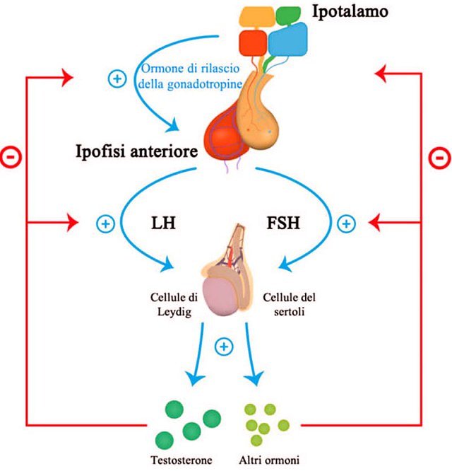 amigayonlus's tweet image. Polemica sulla scelta del Comitato Nazionale di #Bioetica di approvare l'uso di Triptorelina nei #Minori #gendervariant Persistenti.
quotidianosanita.it/m/lettere-al-d…

#amigay si schiera con il presidente del #CNB Maurizio Mori e a favore dell'uso di #triptorelina

quotidianosanita.it/m/lettere-al-d…