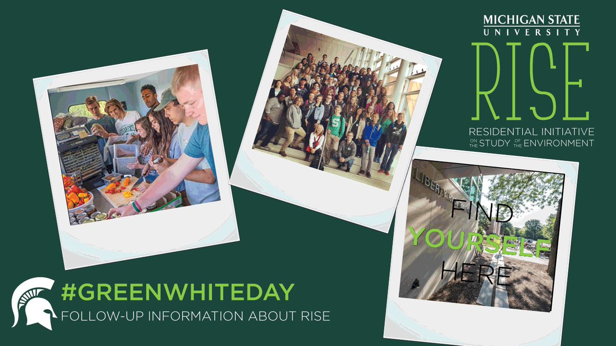msuRISE's tweet photo. #GreenWhiteDay Participants: Here's additional Information about the @msuRISE Program - https://t.co/gz9IZGjUTI https://t.co/NuyInRYYqO