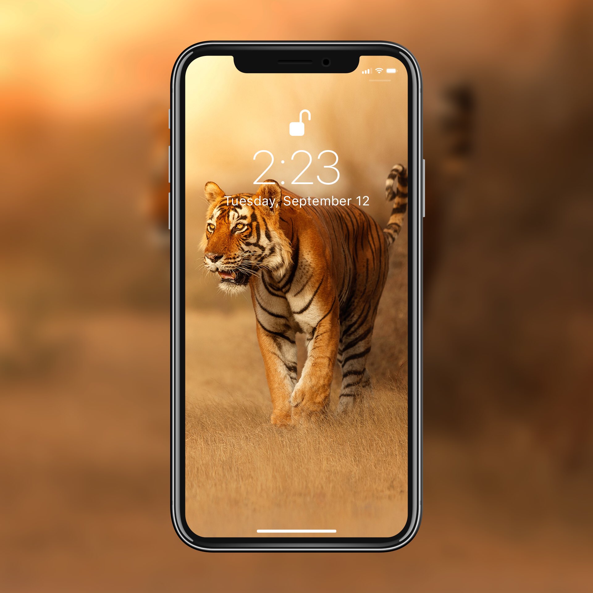 White Tiger Wallpapers APK for Android Download