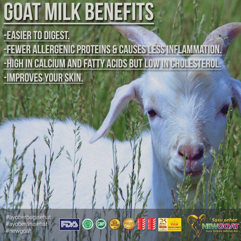 goat's milk benefit
#newgoat
#premiummilk
