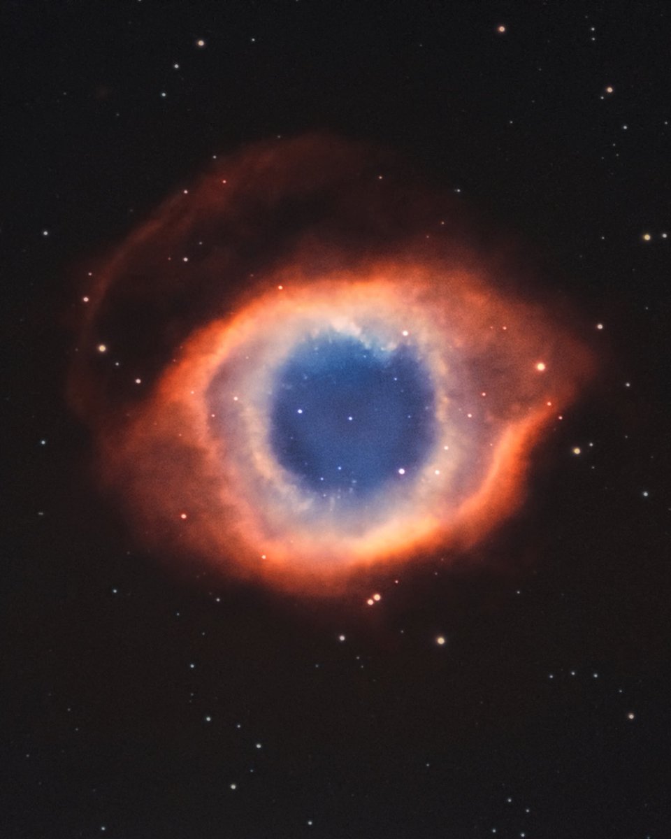 astrofalls's tweet photo. Summertime nebulas captured from my backyard with my own telescope https://t.co/pekL7j5y7F