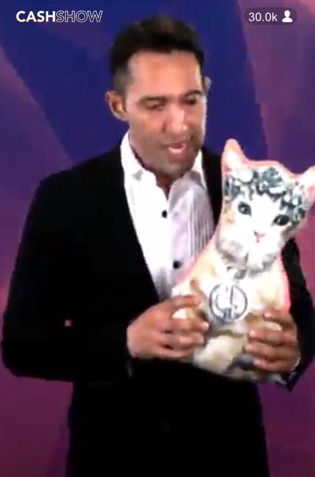 Creepy Cat tweet media