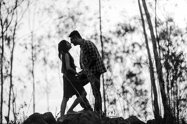 mwpco's tweet photo. 🌲 🌳🌲🌲👫💏🌲🌲🌳 https://t.co/bem645uMoM https://t.co/bisHGYRJZs