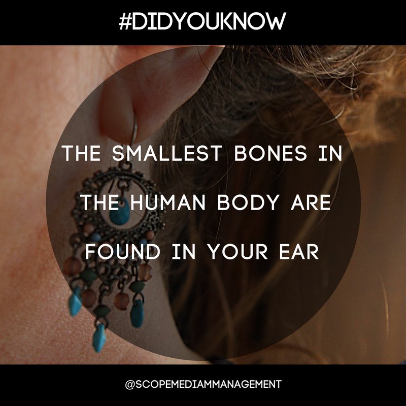 ScopeMediaMgt's tweet photo. Did you know? 👂🏼

#didyouknow #socialmedia #smm #scopemediamanagement #socialmediamanagement #funfacts #facts #worldwide #audience #marketing #brand #online #hotel #motel #holiday #resort #manager https://t.co/kgyrvgyEHo