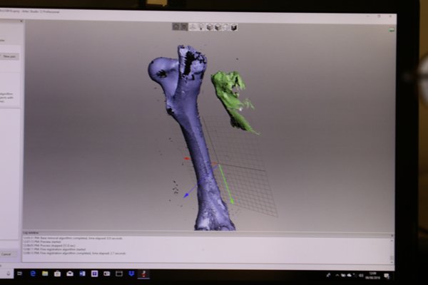 FISHdigitise's tweet photo. For #FossilFriday we've spent the week scanning more of the collection with the help of Simon from @BritGeoSurvey. He assured us it's not an iron really!😀 https://t.co/3Gg1KT8DGm