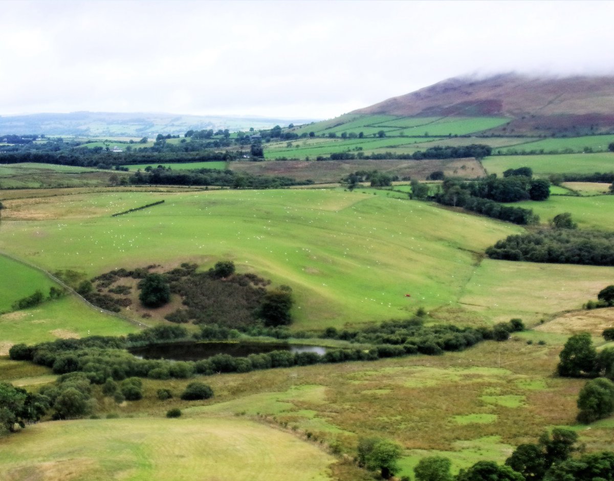 StanLeigh18's tweet photo. @glocky9 @keswickbootco @Wainwright_Pub @CumbriaWeather 
#Knott summit #GreatCockup #Overwater #ChapelhouseReservoir &amp; #LittleTarn - Part 2 of the #Knott walk was through misty conditions but improvement from from #MealFell https://t.co/2lDEFw1dpF