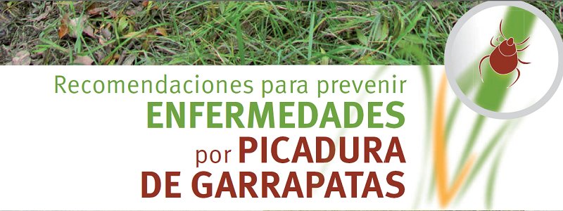 sanidadgob's tweet photo. Si sales al campo, ¡protégete! Recomendaciones sobre cómo prevenir picaduras de #garrapatas en actividades en contacto con la #naturaleza https://t.co/lgbB6qcEZd https://t.co/uIJBSAc5GN