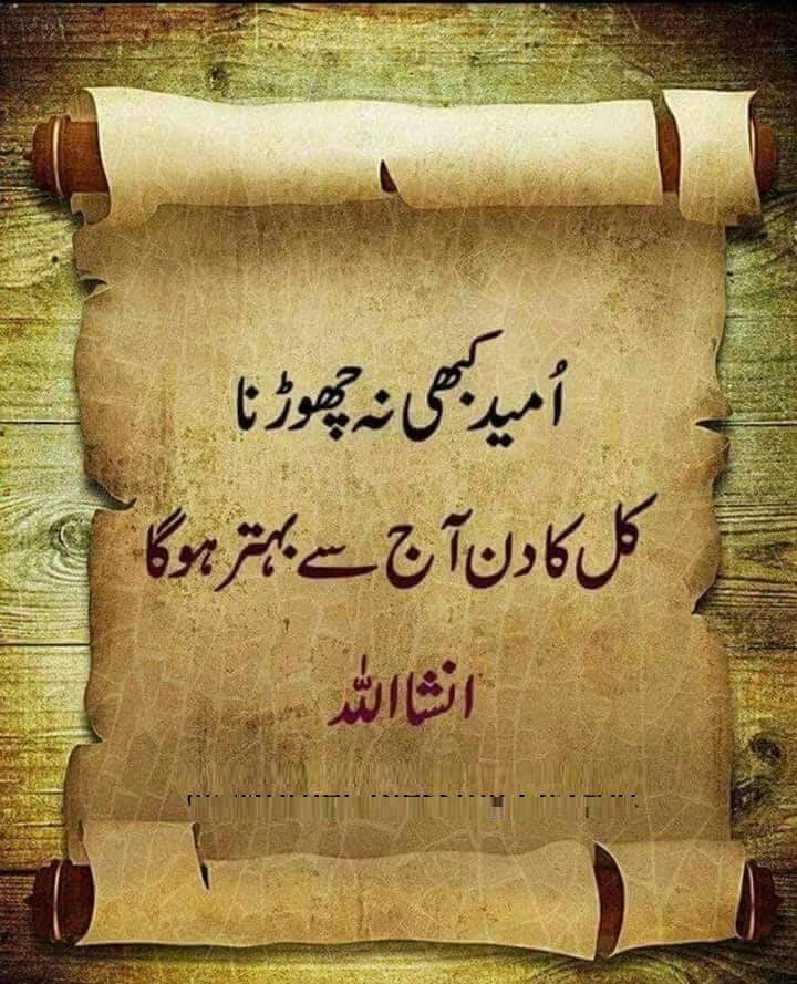 HabibHassankk's tweet photo. https://t.co/Wn46V2SYxp