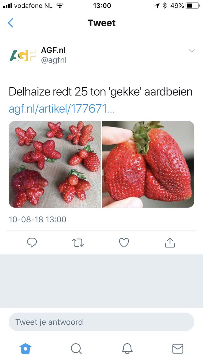Maurice Wubben tweet media