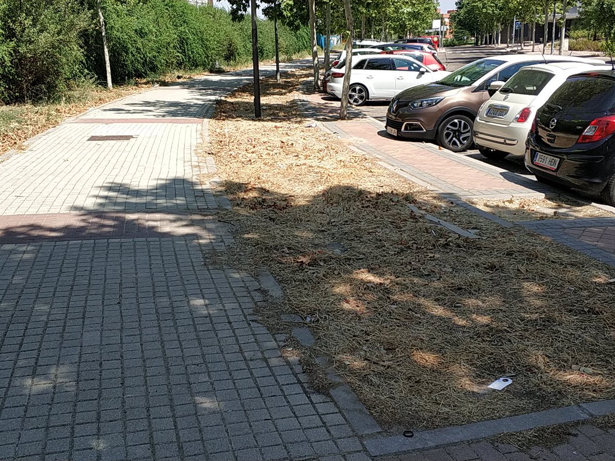 Aayuar's tweet photo. @AytoAlcorcon porque no se mantiene, barre, limpia, repara la calle Copenhague y calle Berlin??. En esta zona no pagamos impuestos y no tenemos derechos o qué? @psoealcorcon @PodemosAlcorcon @CsAlcorcon @davidperez https://t.co/BHLYMQ5LXA