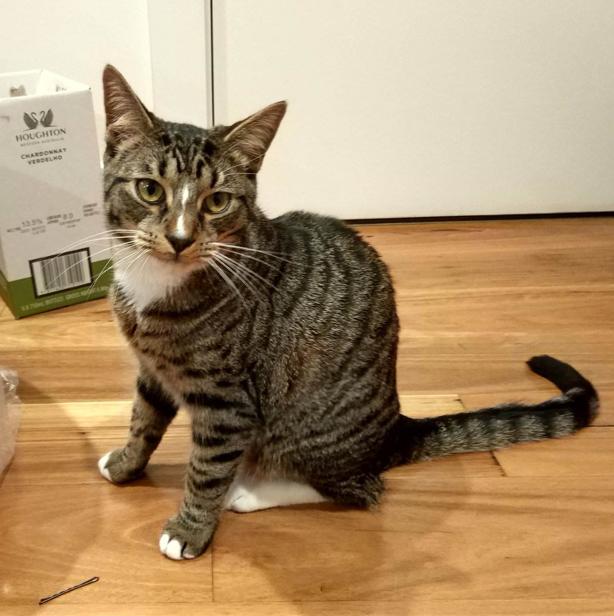 Subhrajit Roy tweet media