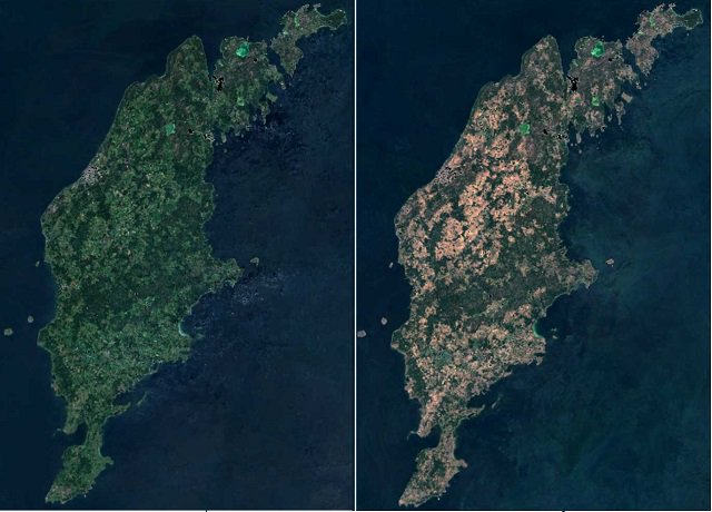 TheLocalSweden's tweet photo. The impact of Sweden's summer heatwave is visible from space https://t.co/fgdI2Nv1XC https://t.co/R3oVOoLmhI