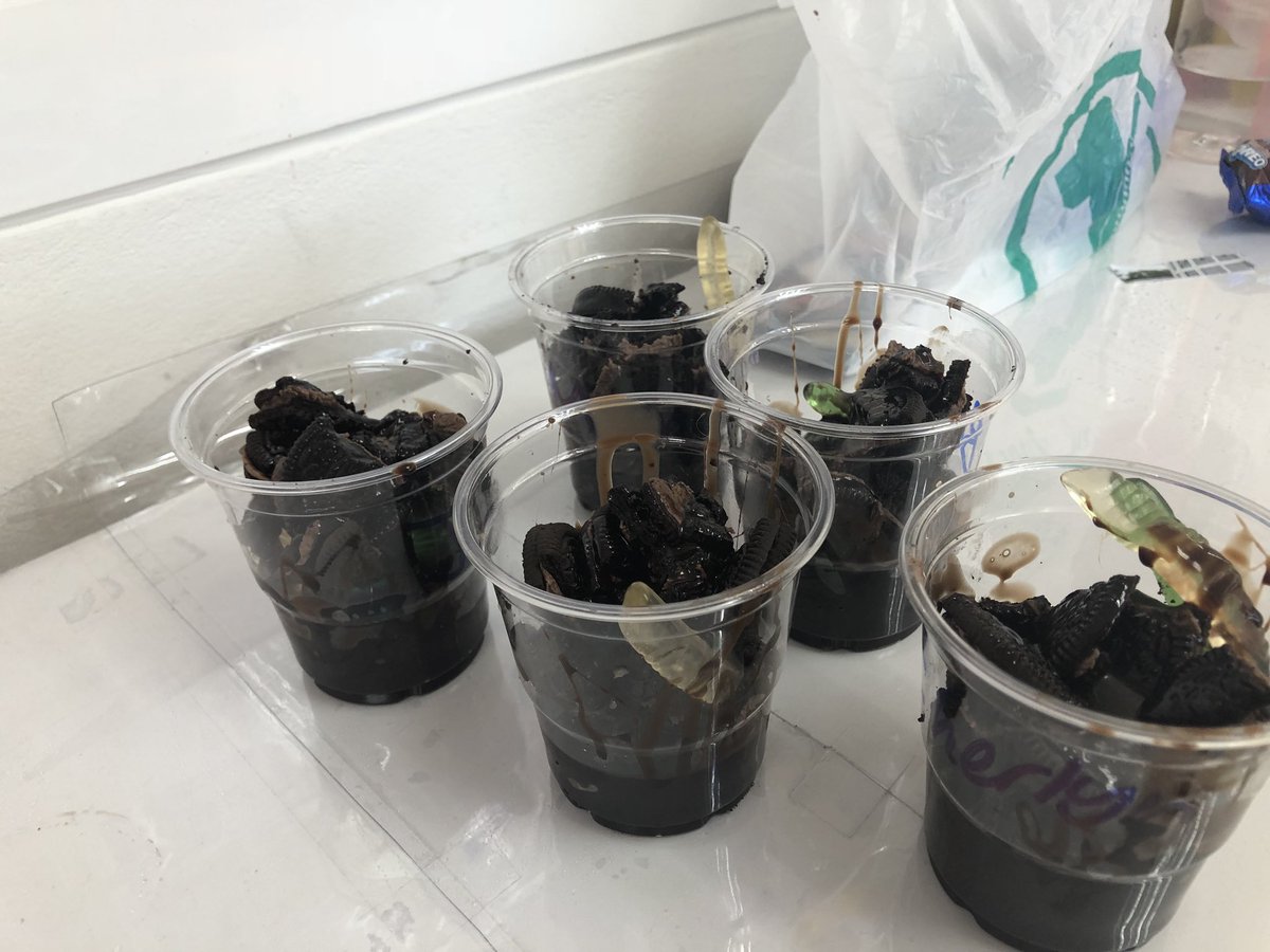 EmmaUKAdventure's tweet photo. Chocolate mud cups 😍 haribo worms, chocolate Oreos and chocolate sauce 😍 #Nursery #cooking #mudcups #bugslife https://t.co/4lbNJMtqDh