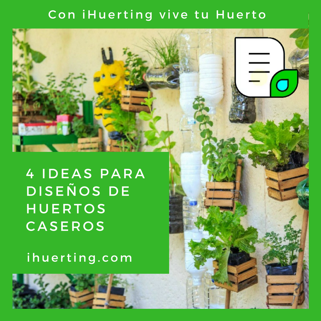iHuerting's tweet photo. 4 Ideas para diseños de huertos caseros https://t.co/2LMLWCaR7R #iHuerting #vivetuhuerto https://t.co/SqEfKhurSM