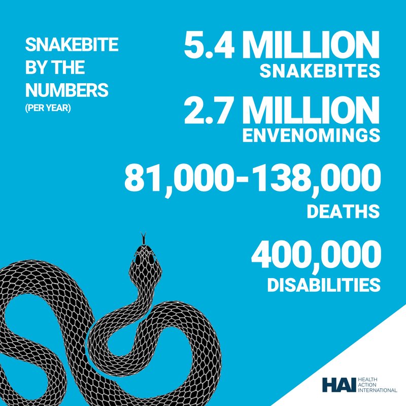 HAImedicines's tweet photo. #Snakebite strikes in the #BlinkOfAnEye. But we’re striking back! Learn more about our Snakebite Programme in #Kenya, #Uganda and #Zambia. Visit https://t.co/mUxG93uYTu #FightSnakebite #NTDs https://t.co/ZNb18x88O2