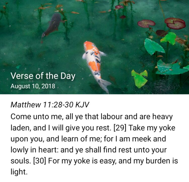 THCEpe's tweet image. tbibl.es/6cax