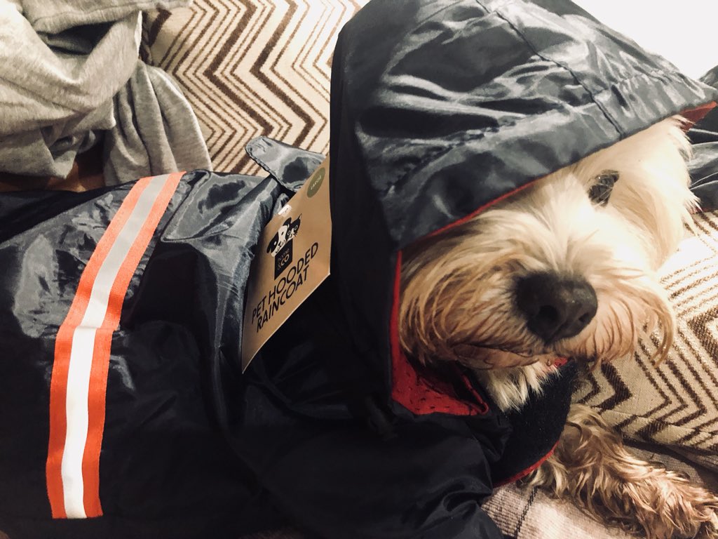 tui_toots's tweet photo. In anticipation of a wet Sept I got given this... apparently I’m now waterproof #CX #TooMuchFun https://t.co/vOOTdm4sk5