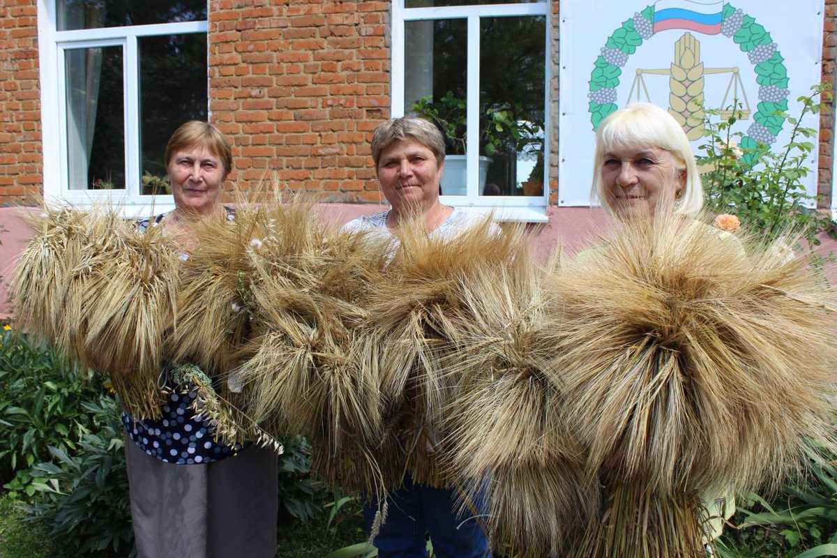 Небольшое здание по улице Фролова в Теплом помечено вывеской ФГБУ «Россельхозцентр». В самый пик летних полевых работ сюда несут золотистые снопы нового урожая, емкости с семенами в преддверии сева...gazetateploe.ru/news/ot-semeni…