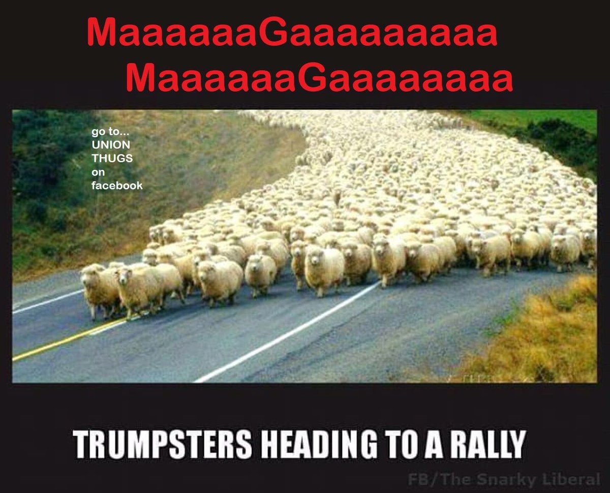 carol_distasio's tweet photo. @alexis94566 @FiredUpCarol @krassenstein https://t.co/S9zFdbMdNu