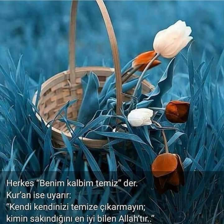 zerrinbintepe's tweet photo. Z https://t.co/5sdQuTD2nk