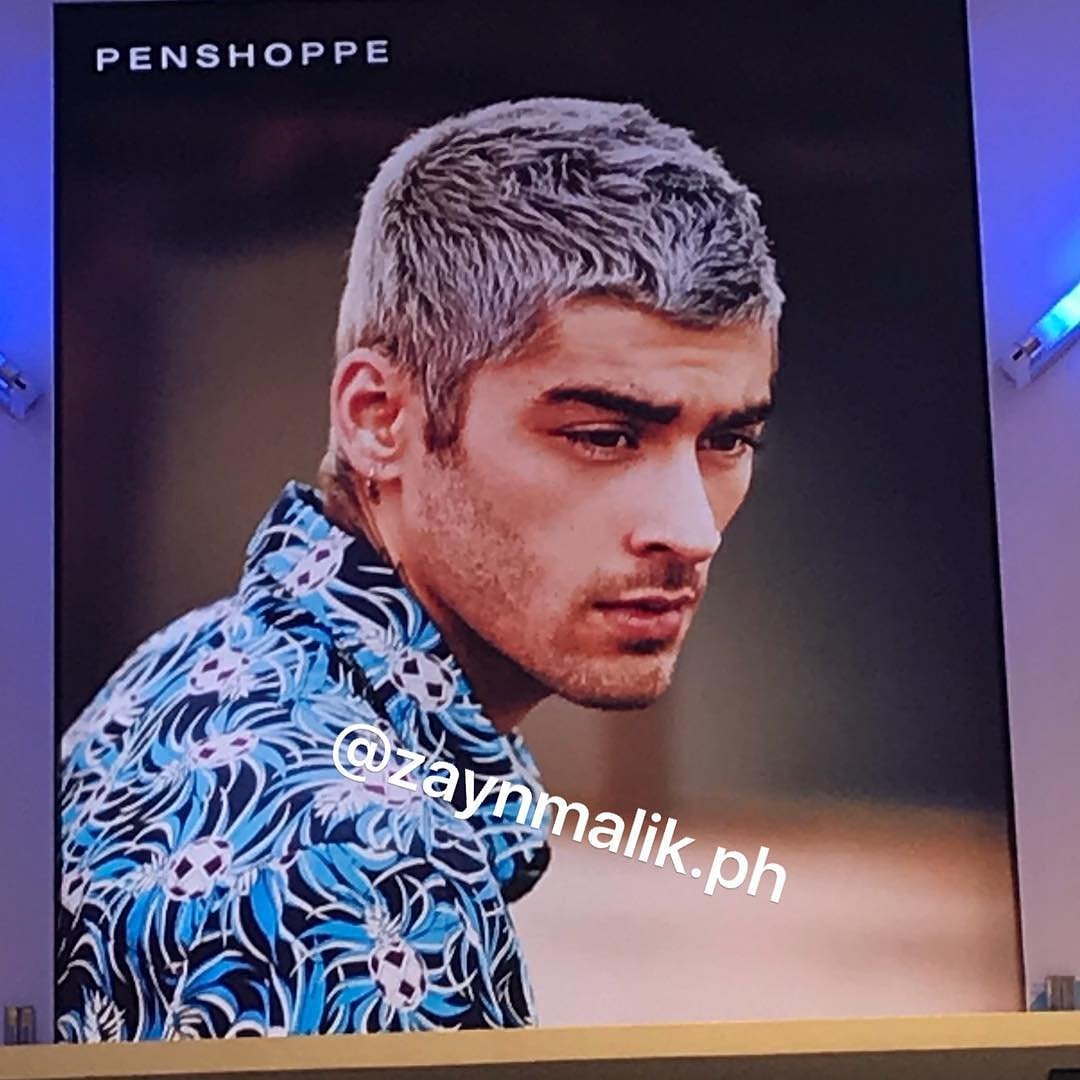 Zayn News Brasil 🐆 tweet media